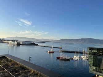 IMG_4824.jpeg IMG_4824.jpeg