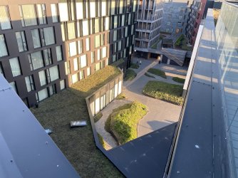 IMG_4825.jpeg IMG_4825.jpeg