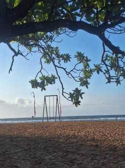 20240610_072108.jpg 20240610_072108.jpg