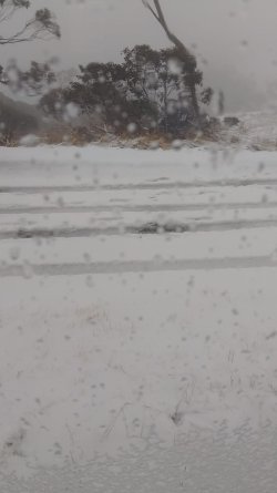 IMG-20240611-WA0001.jpg IMG-20240611-WA0001.jpg