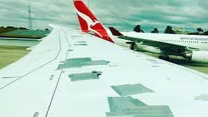 IMG_8005.jpeg IMG_8005.jpeg