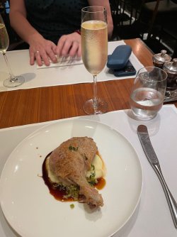 IMG_2091.jpeg IMG_2091.jpeg