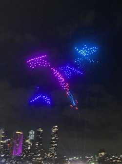 IMG_8649.jpeg IMG_8649.jpeg