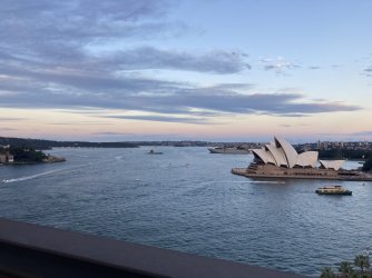 IMG_8598.jpeg IMG_8598.jpeg