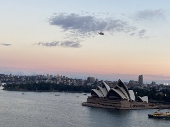 IMG_8611.jpeg IMG_8611.jpeg