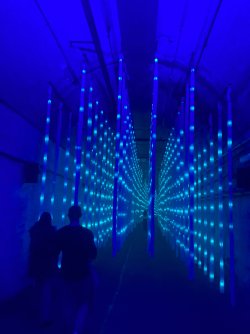 IMG_8871.jpeg IMG_8871.jpeg