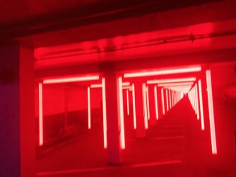 IMG_8958.jpeg IMG_8958.jpeg