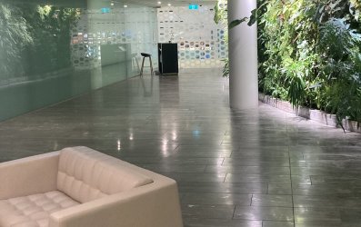 IMG_9056.jpeg IMG_9056.jpeg