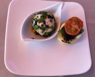 IMG_9102.jpeg IMG_9102.jpeg