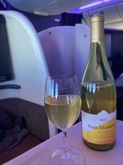 IMG_9125.jpeg IMG_9125.jpeg