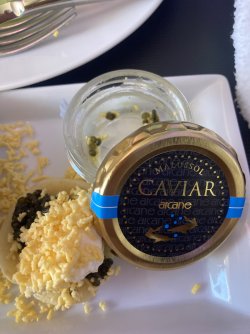 IMG_9160.jpeg IMG_9160.jpeg