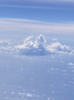 IMG_9162.jpeg IMG_9162.jpeg