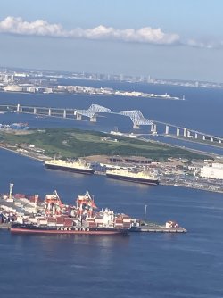 IMG_9232.jpeg IMG_9232.jpeg