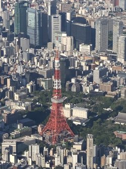 IMG_9226.jpeg IMG_9226.jpeg