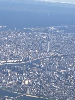 IMG_9210.jpeg IMG_9210.jpeg