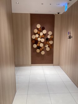 IMG_9328.jpeg IMG_9328.jpeg