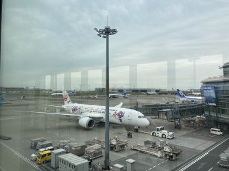 IMG_9345.jpeg IMG_9345.jpeg