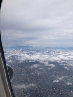 IMG_9371.jpeg IMG_9371.jpeg