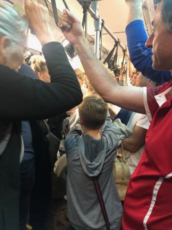 IMG_0362.jpeg IMG_0362.jpeg