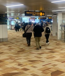 IMG_0966.jpeg IMG_0966.jpeg
