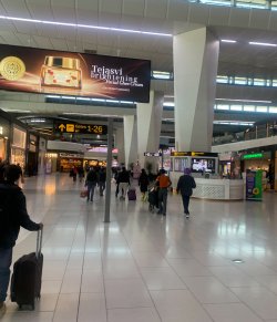 IMG_0967.jpeg IMG_0967.jpeg