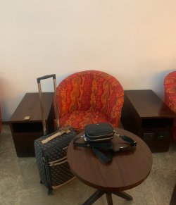 IMG_0970.jpeg IMG_0970.jpeg