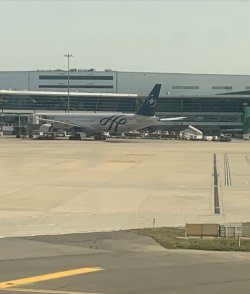 IMG_0988.jpeg IMG_0988.jpeg