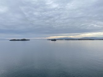 IMG_4987.jpeg IMG_4987.jpeg