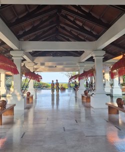 Screenshot_20240615_200434_Gallery.jpg Screenshot_20240615_200434_Gallery.jpg