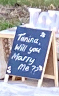 IMG_3464.jpeg IMG_3464.jpeg