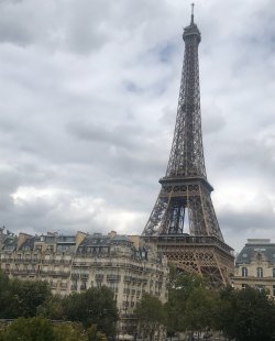 IMG_1043.jpeg IMG_1043.jpeg