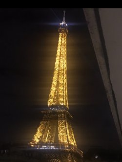 IMG_1052.jpeg IMG_1052.jpeg