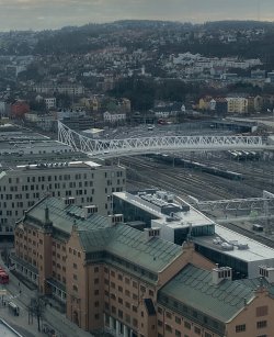 IMG_1099.jpeg IMG_1099.jpeg