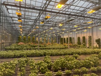 IMG_4856.jpeg IMG_4856.jpeg