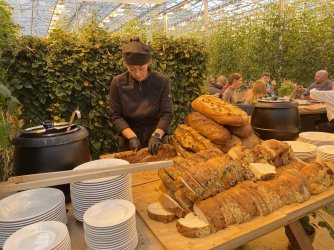 IMG_4858.jpeg IMG_4858.jpeg