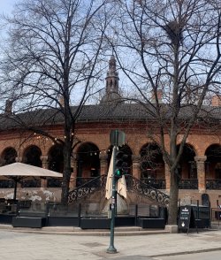IMG_1102.jpeg IMG_1102.jpeg