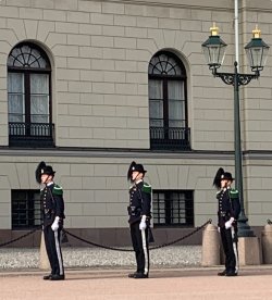 IMG_1116.jpeg IMG_1116.jpeg