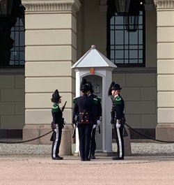IMG_1117.jpeg IMG_1117.jpeg