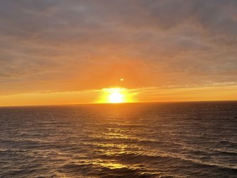 IMG_5027.jpeg IMG_5027.jpeg