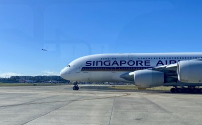 IMG_3495.jpeg IMG_3495.jpeg