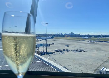 IMG_3497.jpeg IMG_3497.jpeg