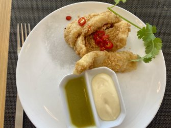 IMG_3499.jpeg IMG_3499.jpeg