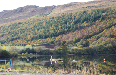 Screenshot 2024-06-18 165430.png Screenshot 2024-06-18 165430.png