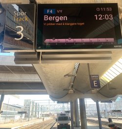 IMG_1132.jpeg IMG_1132.jpeg