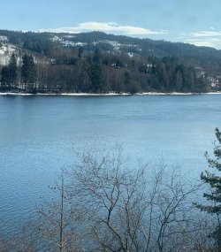 IMG_1147.jpeg IMG_1147.jpeg
