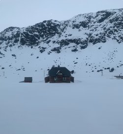 IMG_1167.jpeg IMG_1167.jpeg