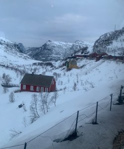 IMG_1176.jpeg IMG_1176.jpeg