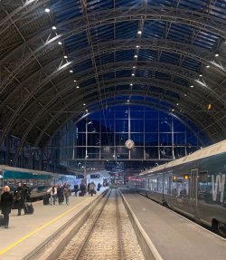 IMG_1179.jpeg IMG_1179.jpeg
