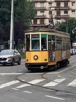 IMG_9650.jpeg IMG_9650.jpeg