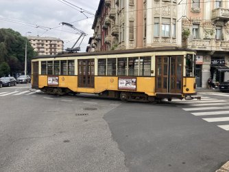 IMG_9651.jpeg IMG_9651.jpeg